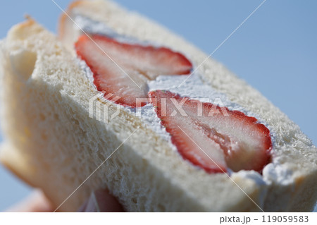 いちごサンドウィッチ 119059583