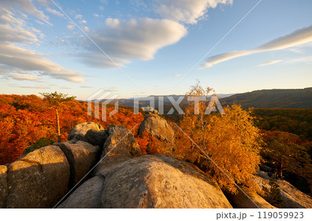 Golden-hued birch tree stands against backdrop of sunlit rocks and autumn forest. Vibrant foliage glows warmly under evening sky, with fluffy clouds. Dovbush Rocks, Carpathian mountains, Ukraine. Golden-hued birch tree stands against backdrop of sunlit rocks and autumn forest. Vibrant foliage glows warmly under evening sky, with fluffy clouds. Dovbush Rocks, Carpathian mountains, Ukraine. 119059923
