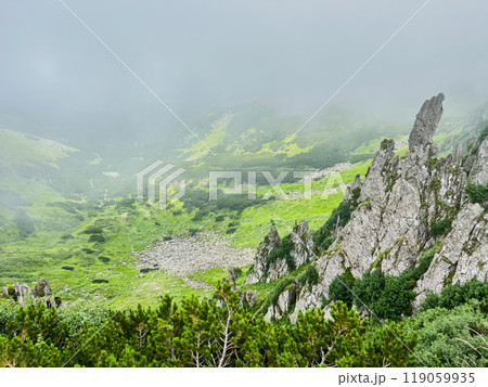 Misty mountain landscape with jagged rock formations emerging from lush green vegetation. Scene enveloped in fog, creating serene almost ethereal atmosphere. Shpytci, Carpathian mountains, Ukraine. 119059935