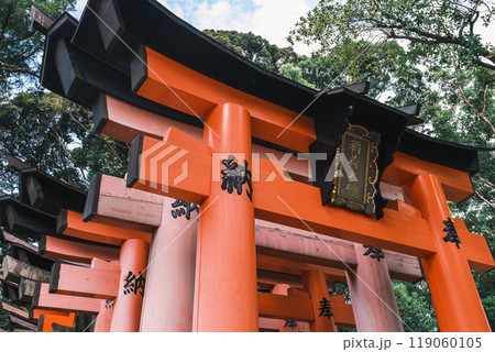 [京都]千本鳥居を下から眺めた景観 119060105
