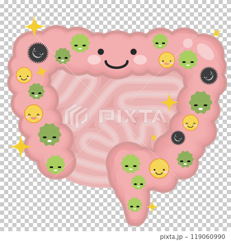 Healthy intestines 119060990