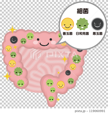元気な腸 119060991