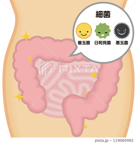 元気な腸 元気な腸 119060992