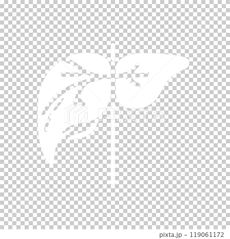 由liver_liver_AI生成 119061172