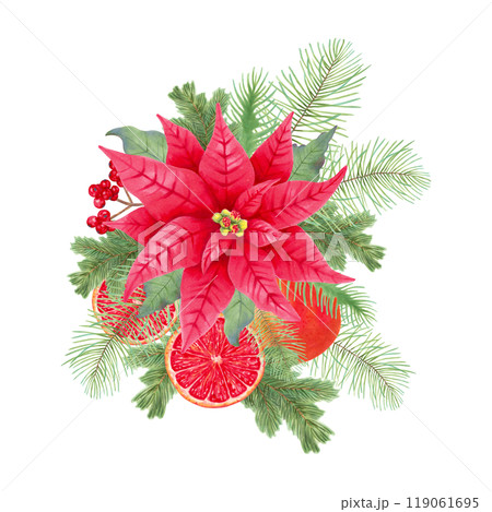 Poinsettia flower with holly berries and pine branches, orange slices for Christmas. Botanical illustration with watercolor. Hand drawn isolated art. Festival composition for design for 2025 New Year. Poinsettia flower with holly berries and pine branches, orange slices for Christmas. Botanical illustration with watercolor. Hand drawn isolated art. Festival composition for design for 2025 New Year. 119061695