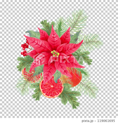 Poinsettia flower with holly berries and pine branches, orange slices for Christmas. Botanical illustration with watercolor. Hand drawn isolated art. Festival composition for design for 2025 New Year. Poinsettia flower with holly berries and pine branches, orange slices for Christmas. Botanical illustration with watercolor. Hand drawn isolated art. Festival composition for design for 2025 New Year. 119061695
