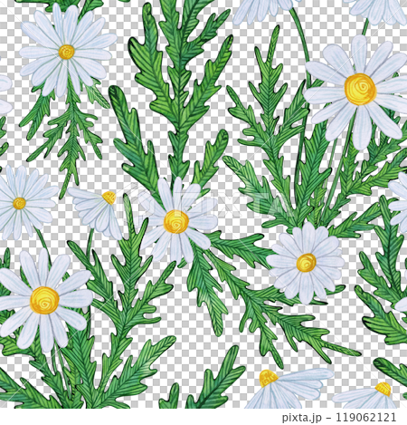 Chamomile flowers with white blooms, yellow centers, and detailed green leaves. Watercolor pattern of daisy buds, foliage, and greenery. Ideal for spring and summer prints, and botanical designs 119062121