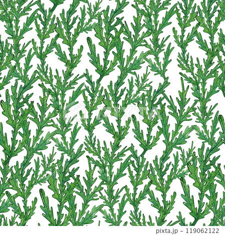 Seamless pattern of chamomile leaves in green tones. Watercolor illustration with detailed, hand-painted foliage, and greenery. Naive, nature-inspired, for fabric prints, and botanical projects 119062122