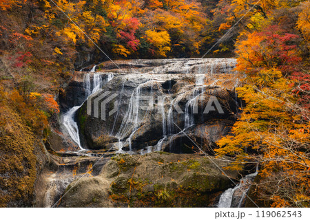 袋田の滝 袋田の滝 119062543