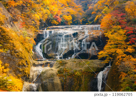 袋田の滝 袋田の滝 119062705