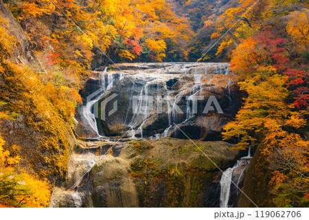 袋田の滝 119062706