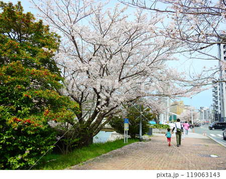 福岡県北九州市の都心にある紫川さくら通りを歩く親子 福岡県北九州市の都心にある紫川さくら通りを歩く親子 119063143