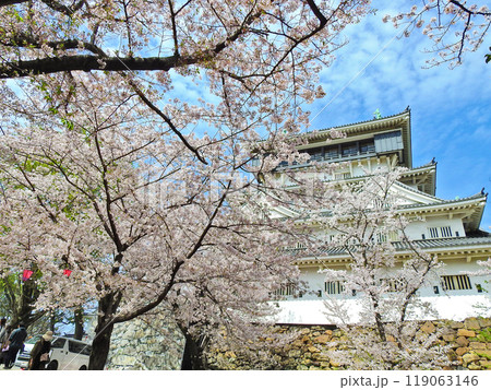 北九州市小倉北区の人気観光スポット桜咲く春の小倉城 北九州市小倉北区の人気観光スポット桜咲く春の小倉城 119063146