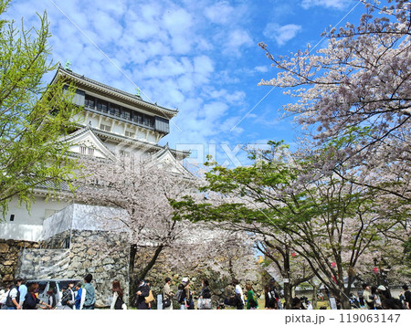 北九州市小倉北区の人気観光スポット桜咲く春の小倉城 北九州市小倉北区の人気観光スポット桜咲く春の小倉城 119063147