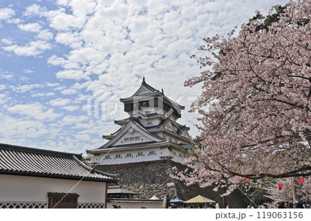 北九州市小倉北区の人気観光スポット小倉城と桜 北九州市小倉北区の人気観光スポット小倉城と桜 119063156