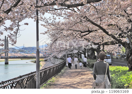 北九州市小倉北区の紫川沿いの紫川さくら通りを歩く人 119063169