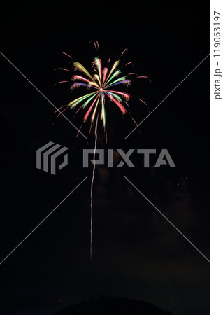 夏の夜空を彩る花火　（高知県　高知市納涼花火大会） 119063197