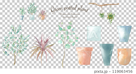Watercolor illustration of plants and pots. Mixable plants and flower pots. Eucalyptus, olive, cordyline. Watercolor illustration of plants and pots. Mixable plants and flower pots. Eucalyptus, olive, cordyline. 119063456