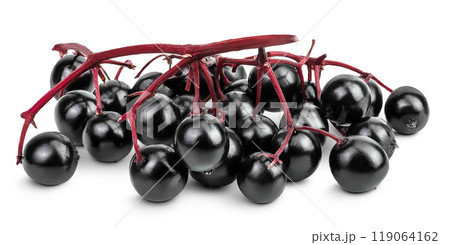 Ripe black elderberry or elder isolated on a white background. Sambucus. Ripe black elderberry or elder isolated on a white background. Sambucus. 119064162