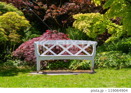 White vintage bench in the green garden 119064904