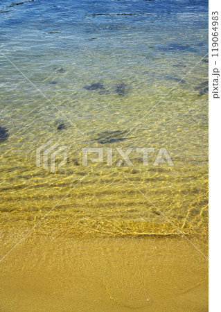 夏の天橋立　綺麗な阿蘇海の波打ち際を泳ぐ魚 119064983