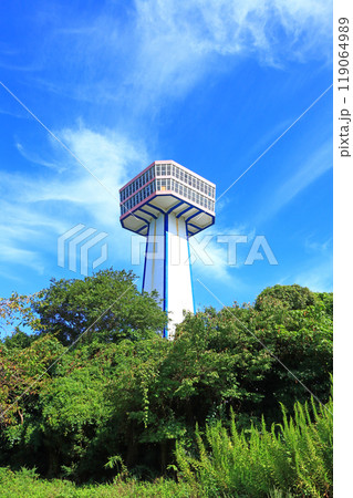 福井県坂井市、東尋坊タワーの風景 福井県坂井市、東尋坊タワーの風景 119064989
