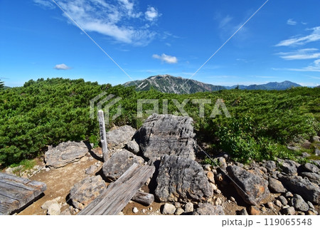 雲ノ平　奥日本庭園の景観　 119065548