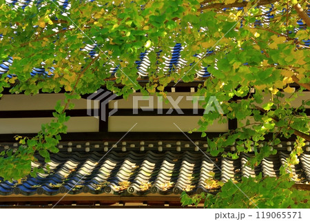 秋の安芸の小京都 竹原 119065571