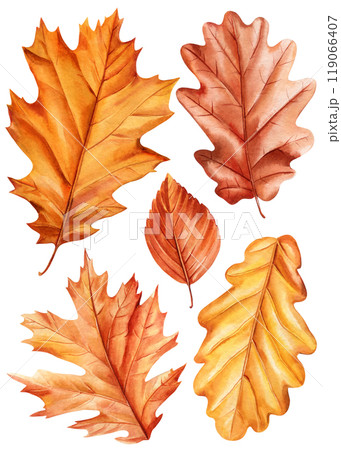 Oak fall leaves collection, watercolor autumn foliage in shades orange, yellow, brown for seasonal crafts and designs 119066407