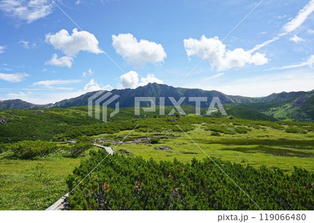 日本最後の秘境 雲ノ平アルプス庭園の景観 日本最後の秘境 雲ノ平アルプス庭園の景観 119066480