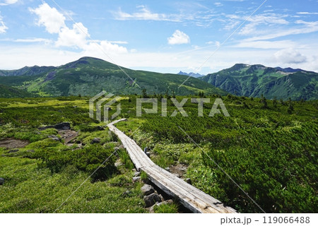 日本最後の秘境　雲ノ平アルプス庭園の景観 119066488