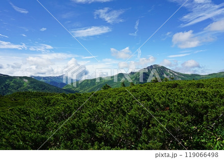 日本最後の秘境　雲ノ平アルプス庭園付近の景観 119066498