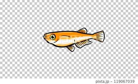 ポップなメダカのイラスト ポップなメダカのイラスト 119067039