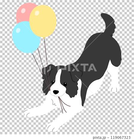 一隻簡單可愛的邊境牧羊犬嘴裡銜著氣球的插圖，沒有主線 119067323