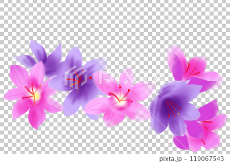 Saffron flower card 2 119067543