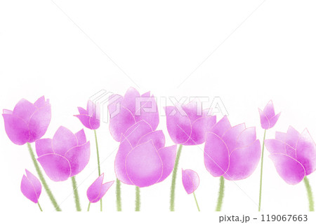 コルチカムの花のカード1 119067663