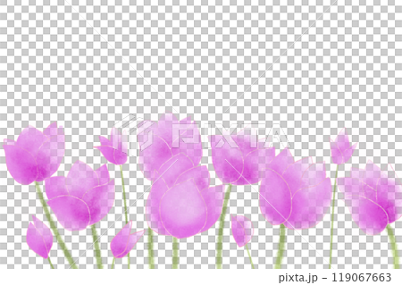 コルチカムの花のカード1 119067663
