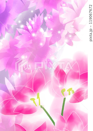 コルチカムの花のカード10 コルチカムの花のカード10 119067672