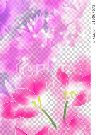 コルチカムの花のカード10 コルチカムの花のカード10 119067672
