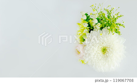 お供え菊の花束の背景 敬老の日 コピースペース お供え菊の花束の背景 敬老の日 コピースペース 119067708