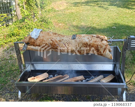 Roasting a Whole Pig on a Barbecue Grill is a wonderful culinary experience for gatherings 119068337
