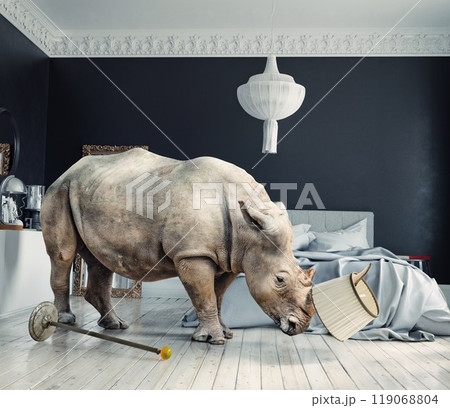 wild rhino in the luxury bedroom 119068804