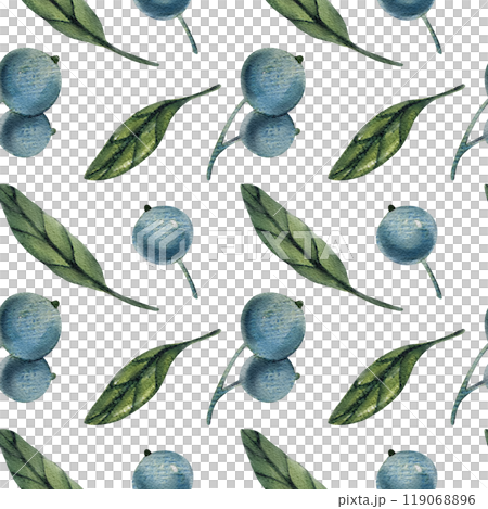 Seamless pattern with watercolor blueberry branches, botanical illustration featuring green leaves and berries. Ideal for natural designs, organic products, decor. Soft, detailed, realistic artwork. 119068896