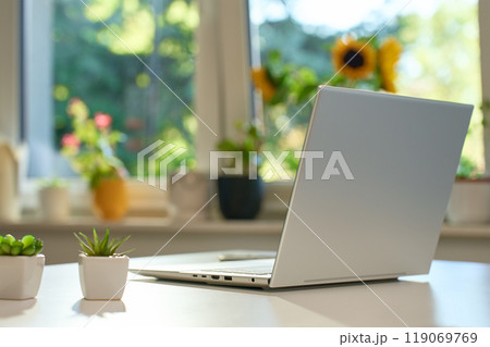 Modern laptop computer on white table in sunny home office. Remote workplace with laptop, potted plants and coffee mug on white desk 119069769