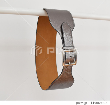 Silver snake leather belt with square buckle, stylish accessory for women 119069992