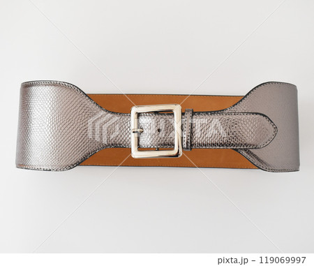 Silver snake leather belt with square buckle, stylish accessory for women 119069997