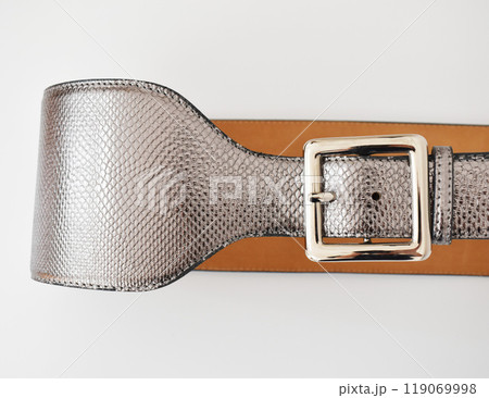 Silver snake leather belt with square buckle, stylish accessory for women Silver snake leather belt with square buckle, stylish accessory for women 119069998