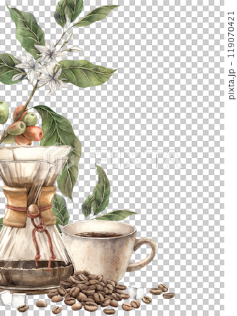 Cup with aromatic and fresh coffee prepared in a filter. Botanical flowers, branches and fruits of a coffee tree, roasted beans. Watercolor composition for cafe and shop design, postcards, banner Cup with aromatic and fresh coffee prepared in a filter. Botanical flowers, branches and fruits of a coffee tree, roasted beans. Watercolor composition for cafe and shop design, postcards, banner 119070421