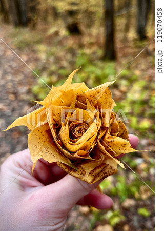 rose flower made by yellow maple leaves in hand close up rose flower made by yellow maple leaves in hand close up 119070458