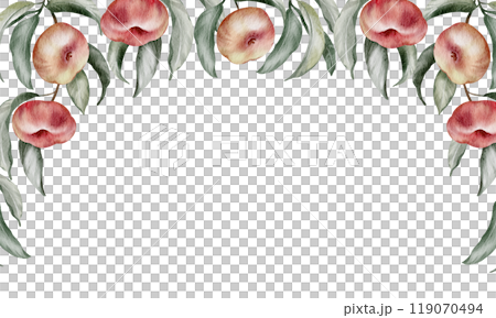 Apricot Watercolor frame with green leaves. Fruit illustration of template with nectarine and peach for wedding invitation cards or harvest festival. Hand drawn Banner summer food background for Apricot Watercolor frame with green leaves. Fruit illustration of template with nectarine and peach for wedding invitation cards or harvest festival. Hand drawn Banner summer food background for 119070494